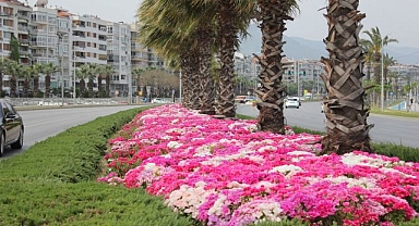 İzmir’de çiçek şöleni