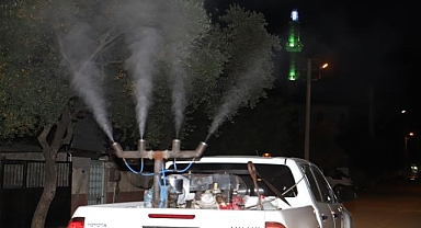 Ödemiş’te sinek ve haşere mücadelesi başladı