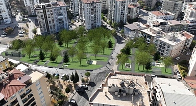 En büyük yatırımda ağaçlara özel koruma