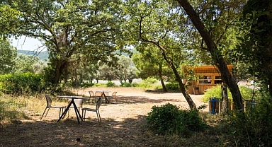 Yaşayan Park'ta safari turu