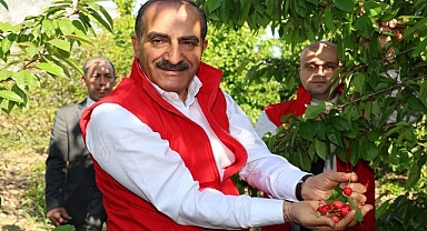 Kiraz ihracatında rekor: 205 milyon dolara ulaştı