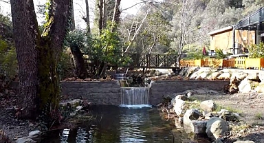 Park Orman Narlıdere, marka mekanlar arasında