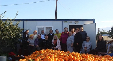 İmeceyle mandalina hasadı
