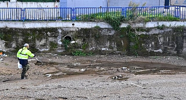 Asya kaplan sivrisineği ile yoğun mücadele