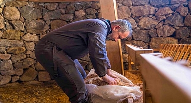 Kaçeli koyunlarına Büyükşehir’den yeni yuva