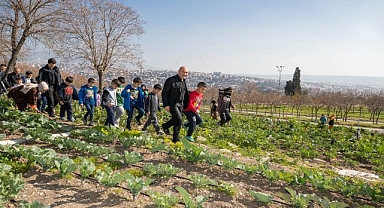 Mahalle bostanları yeşerdi