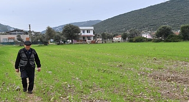 Üreticiye 9 milyonluk destek