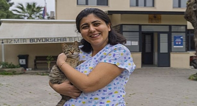 Barınaklarda Kalbinizi Çalacak Canlar Var