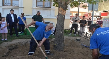 Kırılan Asırlık Çınar Ağacının Yerine Yenisini Dikti
