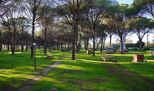 Altınova Mesire Alanı Hizmete Açıldı