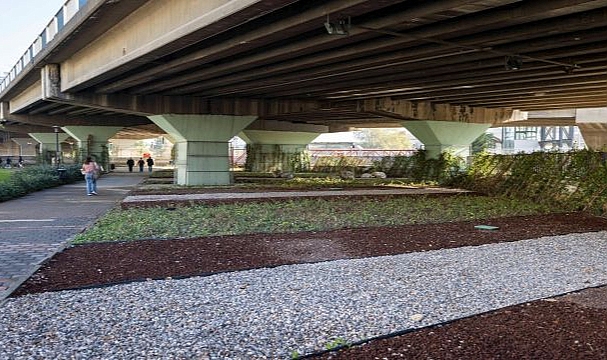 İzmir’in çehresi su tasarruflu bitkilerle güzelleşiyor