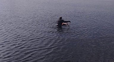 Flamingoya hayat veren kurtarma operasyonu