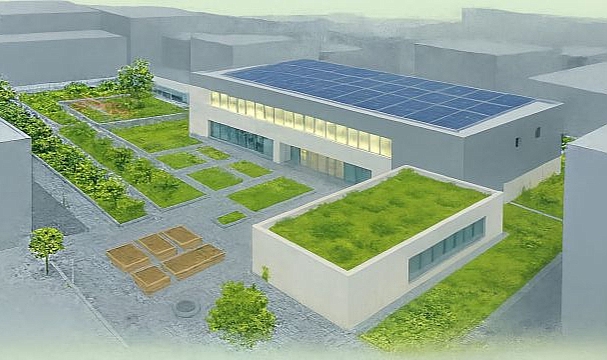 İzmir çatılarda yeşil devrimi başlatıyor