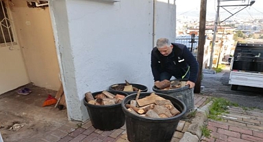 Konak’ta kış dayanışması: Budanan ağaçlar yuvaları ısıtıyor
