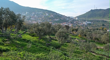 Menemen Belediyesi'nden tarıma can suyu