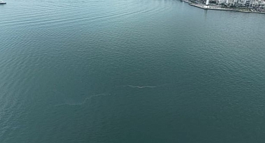 İzmir Körfezi’nde 13. dış kaynaklı kirlilik vakası