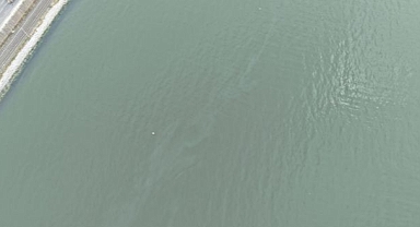 İzmir Körfezi’nde kirlilik alarmı: Aynı tehdit 11. kez görüldü