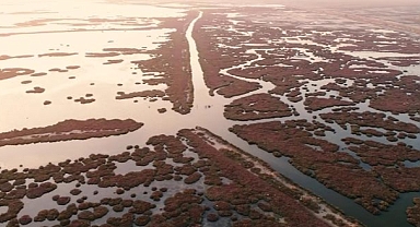Temiz Körfez için Gediz vurgusu