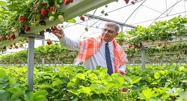 İzmir’in Tarım Master Planı rotasını çizdi