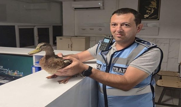 Zabıtadan yürek ısıtan kurtarma