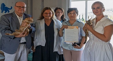 İzmir’de engelli kedilere sıcak bir yuva