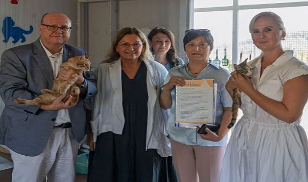 İzmir’de engelli kedilere sıcak bir yuva