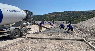 Dikili’ye tam teşekküllü sokak hayvanları kampüsü