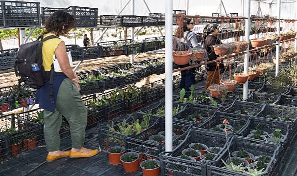 İzmir iklim mücadelesinde Avrupa ile bilgi köprüsü kuruyor